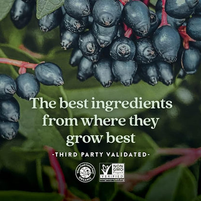 New Chapter Men’s Multivitamin Gummies, 66% Less Sugar, Men’s Gummy Vitamins with Vitamin C, D3 & Zinc, Non-GMO, Gluten Free, Berry-Citrus, 75ct