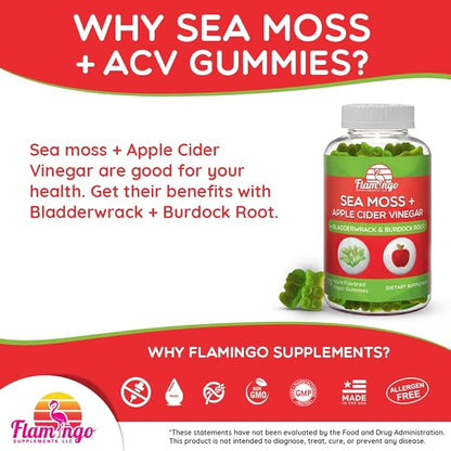 Sea Moss Gummies with Apple Cider Vinegar, Bladderwrack, and Burdock Root Organic- Sea Moss Gummies for Adults and Kids- Vegan, Organic, Irish Seamoss and ACV – 70 Ct