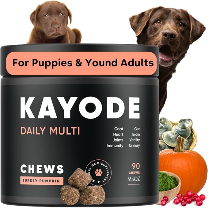 Kayode Daily Multi - Dog Multivitamin & Superfood Chew. Fill Nutrient Gaps. Helps Joints, Digestion, Heart, Brain, Urinary & More. Add Nutrients Dog Food Misses. Great for Puppies Too.