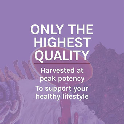 Host Defense Lion's Mane Extract - Brain Health Support Supplement - Mushroom Supplement to Support Focus & Memory Function - Immune & Nervous System Support Supplement - 1 fl oz (30 Servings)*