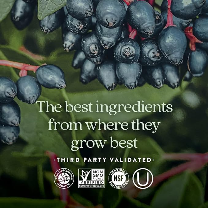 New Chapter Zinc Supplement, Fermented Zinc Complex, ONE Daily for Immune Support + Skin Health, Mineral-Balancing Formula Rich in Copper, Easy to Swallow & Digest, 90 Count (3 Month Supply)