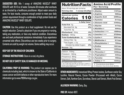 Whey Protein Isolate Powder | 25 Grams Protein Per Serving | 100% Whey Isolate | Zero Fat | Made in USA (2 Lb, Chocolate)