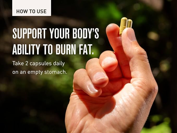 Three Hit Combo – Burn Fat, Boost Energy, and Support Wellness with Berberine, Gynostemma, and Quercetin. 30-Day Supply (60 Capsules) Weight Management by Chuck Norris