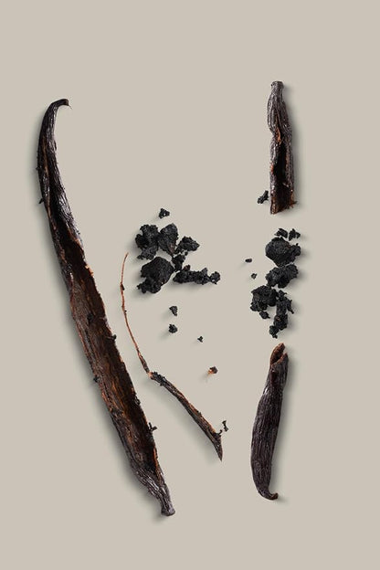 Wavelength VANILLA Organic Plant-Based Superfood Protein Powder! Consciously Crafted! USDA Organic, Plant-Based, Vegan, Soy-Free, Dairy Free, No Added Sugar!, 24.36