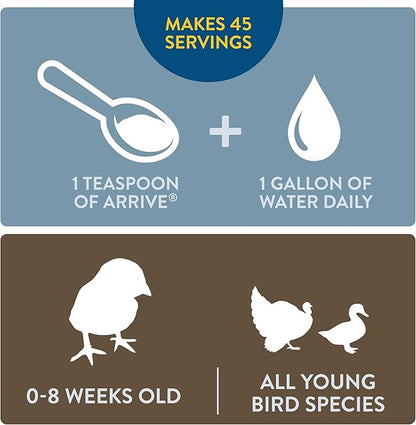 Arrive, Daily Probiotic & Prebiotic Water Supplement for Young Chickens 0-8 Weeks Old, 8 oz (Pack of 2)