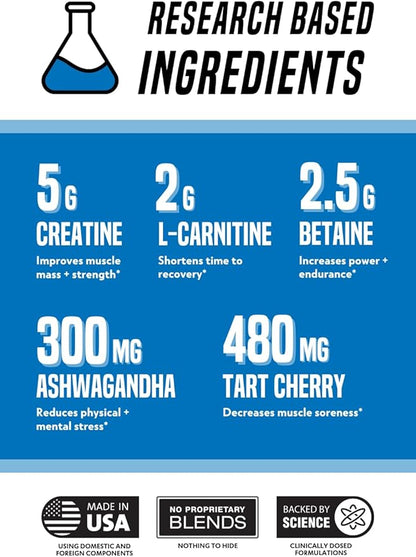 Outwork Nutrition Recovery Supplement, Post Workout Recovery Powder & Muscle Builder for Men and Women, Recharge Muscles After Gym, Backed by Science, Berry Splash, 240 Gr