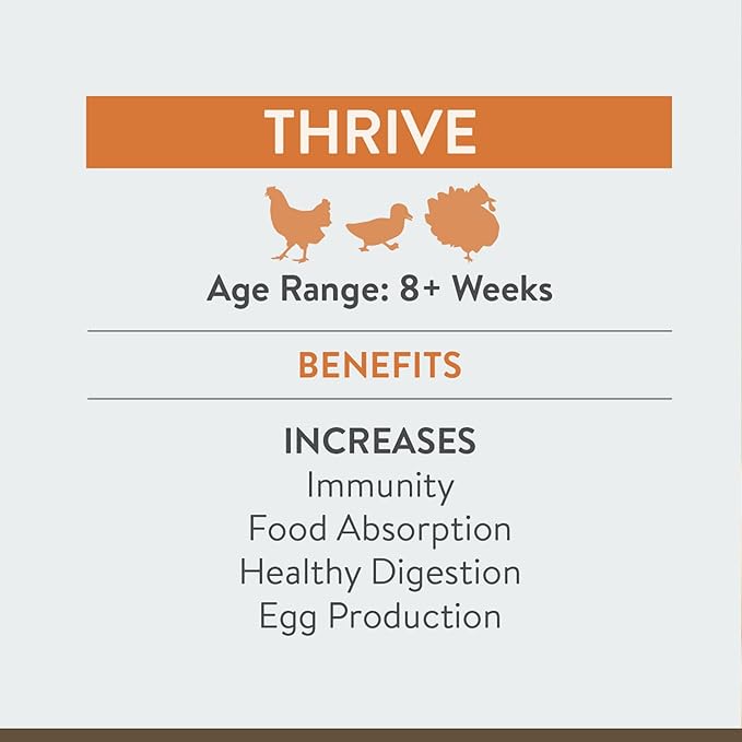 Thrive, Daily Probiotic & Prebiotic Water Supplement for Chickens 8+ Weeks Old, 8 oz (Pack of 2)
