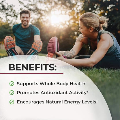 Sugar Free Beet Root Gummies - Nitric Oxide Beet Chews Infused with Coconut Oil for Highest Absorption - Supports Energy & Whole Body Health - Delicious Strawberry Flavor - 120 Count (60 Day Supply)