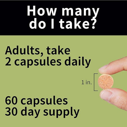 BN Chews Vanilla & Lime - Bariatric Multivitamin Chewable with 27 Essential Nutrients Vitamins A, B6, B12, C, D3, 18 mg Iron & Calcium, Supports Men & Women Health(2 Pack)