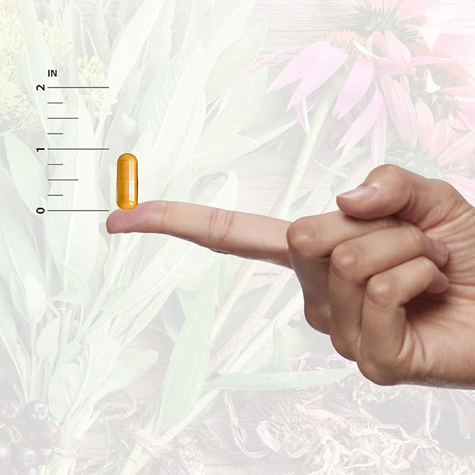 Nature's Answer Echinacea & Goldenseal | Dietary Supplement | Supports a Healthy Immune System | Non-GMO & Kosher Certified | Vegetarian/Vegan Capsules 90ct