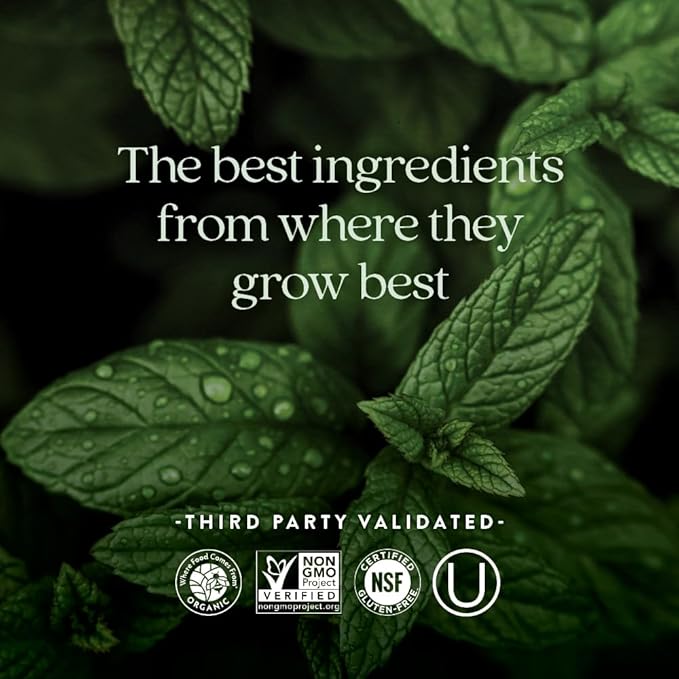 New Chapter Iron Supplement, Whole-Food Fermented Iron Complex Made with Organic Vegetables & Herbs + One Daily Non-Constipating Dose- 90ct, 3 Month Supply