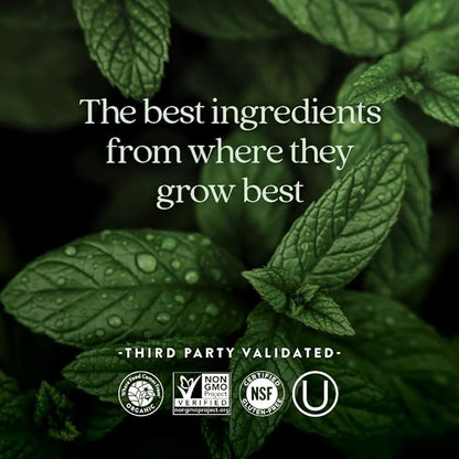 New Chapter Iron Supplement, Whole-Food Fermented Iron Complex Made with Organic Vegetables & Herbs + One Daily Non-Constipating Dose- 90ct, 3 Month Supply