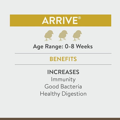 Arrive, Daily Probiotic & Prebiotic Water Supplement for Young Chickens 0-8 Weeks Old, 8 oz (Pack of 2)