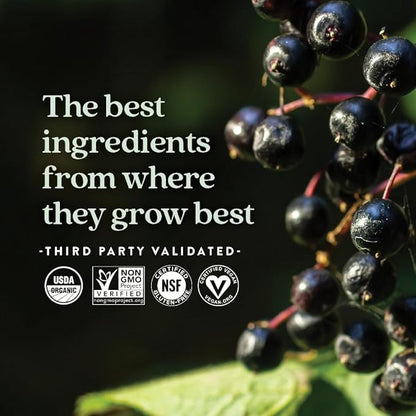New Chapter Elderberry Gummies for Kids 2+, USDA Organic,64x Concentrated Pure Elderberry for Immune Support,Great Tasting Whole-Food Gummies, Vegan & Non-GMO, 30 ct