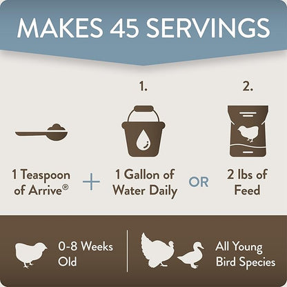 Arrive, Daily Probiotic & Prebiotic Poultry Supplement for Young Chickens 0-8 Weeks Old, 8 oz