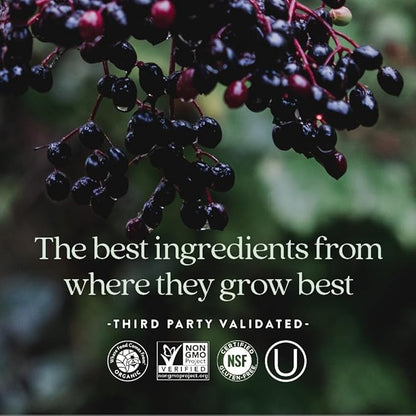 New Chapter Women's Multivitamin for Immune, Beauty + Energy Support with 20+ Nutrients -- Every Woman's One Daily, Gentle on the Stomach, 96 Count