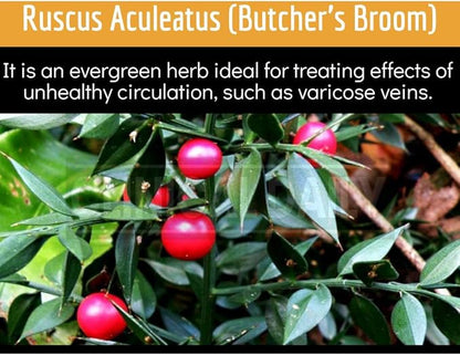 Clinical Daily Blood Circulation Supplements. Butchers Broom, Horse Chestnut, Hawthorn, Cayenne, Arginine, Diosmin Varicose Veins Treatment for Legs. Poor Circulation and Vein Support. 90 Capsules.