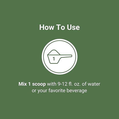 ACTIVATEDYOU Superfood Protein Shake -Vegan Plant Protein Powder - with Organic 7 Mushroom Blend, Spirulina, and GoldRella Chlorella - Promotes Muscle Integrity, Chocolate Flavor (15 Servings)