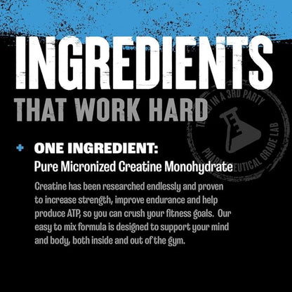 Animal Micronized Creatine Monohydrate Powder - Delays Muscle Fatigue, Supports Muscle Growth, Endurance, ATP Production, Cognitive Function, Strength, and Recovery for Men & Women - Unflavored, 500g