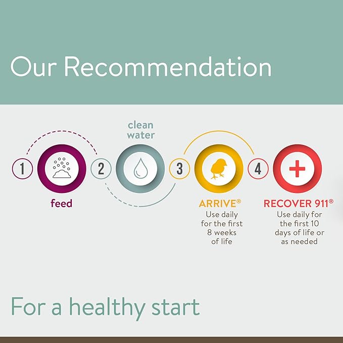 Arrive, Daily Probiotic & Prebiotic Water Supplement for Young Chickens 0-8 Weeks Old, 8 oz (Pack of 2)