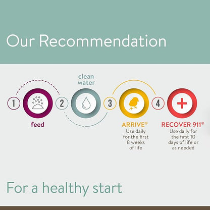 Arrive, Daily Probiotic & Prebiotic Water Supplement for Young Chickens 0-8 Weeks Old, 8 oz (Pack of 2)