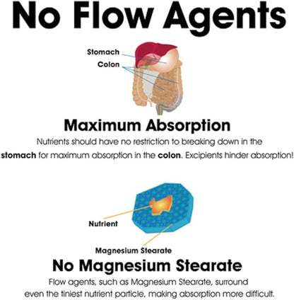 Dr. Clark Liquid Vitamin D Supplement, 1000 IU, 1 fl oz