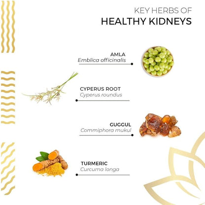 Kerala Ayurveda Healthy Kidney Herbal Tablets | Support Normal Kidney Function and Health | Kidney and Bladder Support | Urinary System Support - 90 Count