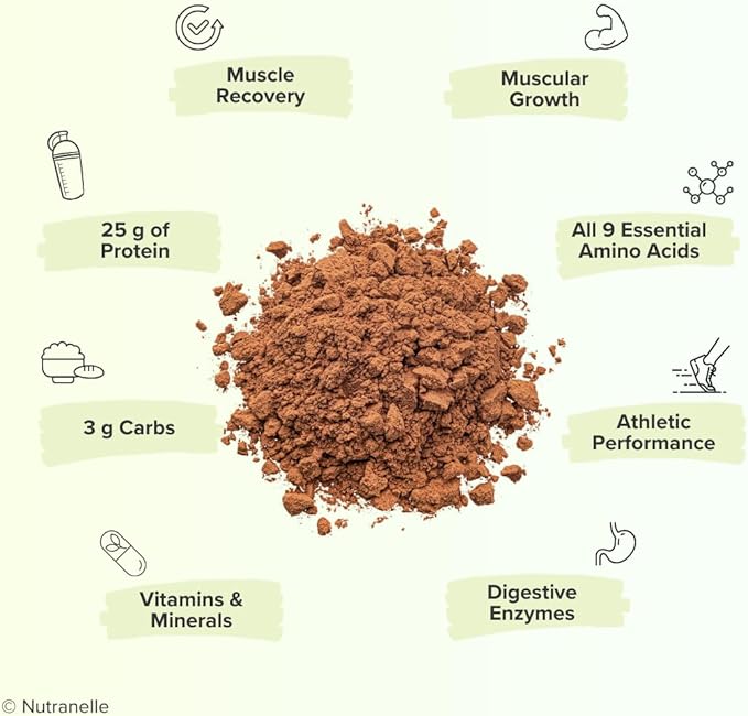 Plant Based Protein Powder - 25 g Vegan Protein Powder with 30 Servings - Blended Rice & Pea Protein Powder with Superfoods & Amino Acids - Zero Sugar Protein Shake Powder - Chocolate