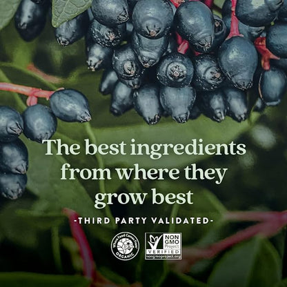 New Chapter Women’s 50+ Multivitamin Gummies – 66% Less Sugar, Women’s Healthy Aging Gummy Vitamins with Vitamin C, B Vitamins & Zinc, Non-GMO, Gluten Free, Berry Citrus Flavored, 90 ct