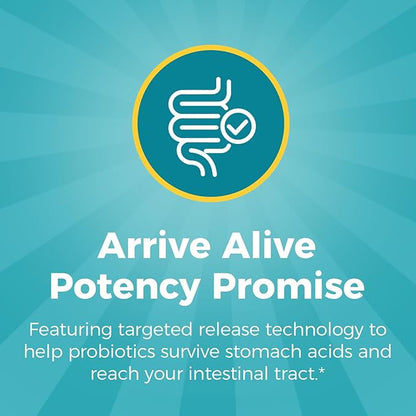 NewRhythm Probiotics 120 Billion CFU 36 Strains, 3-in-1 Probiotics for Digestive Health & Immune Support with Prebiotics & Enzymes, Probioticos for Women & Men, Vegan Targeted Release Supplement, 60ct