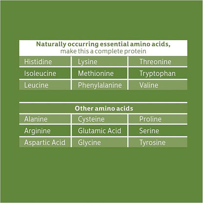 Biochem, Vegan Protein Powder, 20g of Plant-Based Protein to Support Muscles, Chocolate, 13.6 oz