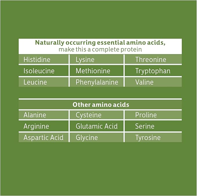 Biochem Sports 100% Vegan Protein Chocolate -- 26 oz