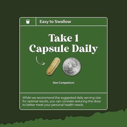 Pure Green Coffee Bean Extract – Standardized to 50% Chlorogenic Acid – Weight Loss Supplement for Men & Women – Burns Both Fat and Sugar – High Grade Potent Ingredients