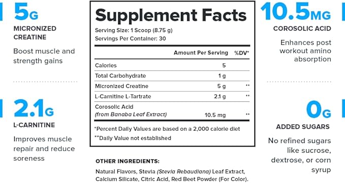 LEGION Recharge Post Workout Drink - Micronized Creatine Monohydrate Natural Post Workout Recovery Drink - Muscle Builder & Recovery Booster Post Workout Supplements (Strawberry Lemonade, 30 Servings)