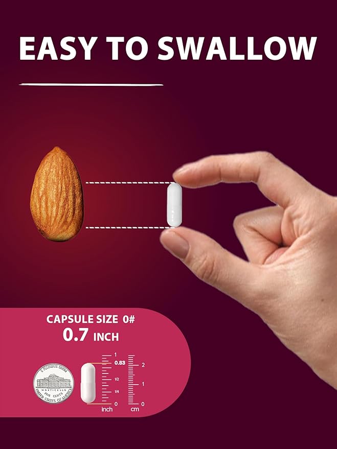 Iron Supplement for Women & Men, Iron Bisglycinate with Vitamin C, B6, B12, Folate, Stomach Friendly, Non-Constipating, Blood Health & Energy Boost, 60 Vegan Caps