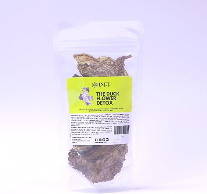 Duck Flower Detox | 2 Whole Dried Blossoms | Aristolochia grandiflora plant | Wildharvested Herb of Jamaica