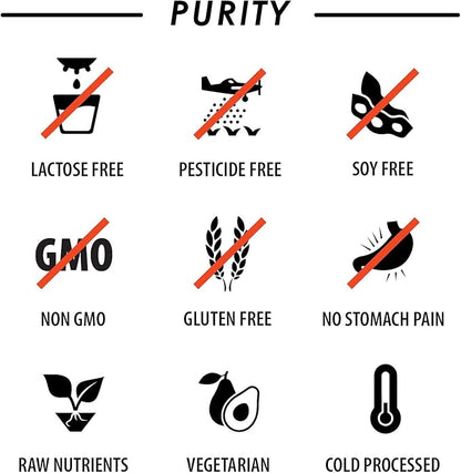 Multivitamin Powder - Keto Drink Mix for Men Women BCAA Amino Acids Won’t Upset Your Stomach - Keto Vegan Multivitamin with Electrolytes Super B Complex Digestive Enzyme (Orange Burst)