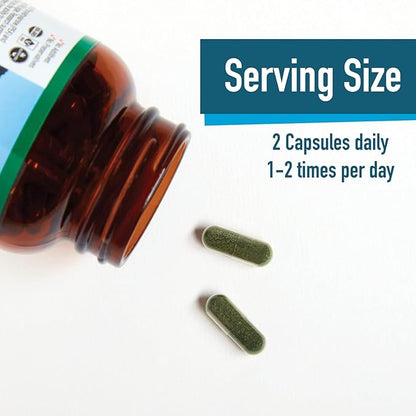 E3LIVE Blue Majik Organic Spirulina Powder: Superfood Your Way to Radiant Health and Wellness - No Fishy Smell, 100% Vegan Protein 120 Count