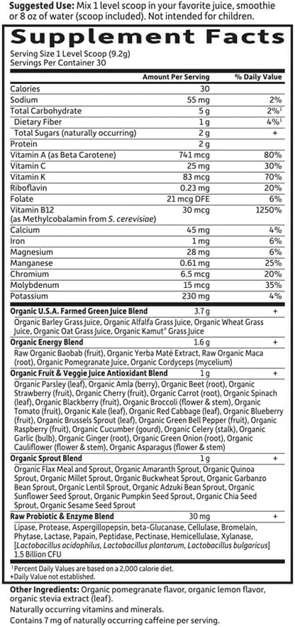 Garden of Life Raw Organic Perfect Food Energizer Juiced Green Superfood Powder - Yerba Mate Pomegranate, & Probiotics, Gluten Free Whole Food Greens Supplements, 30 Servings, 9.73 Oz