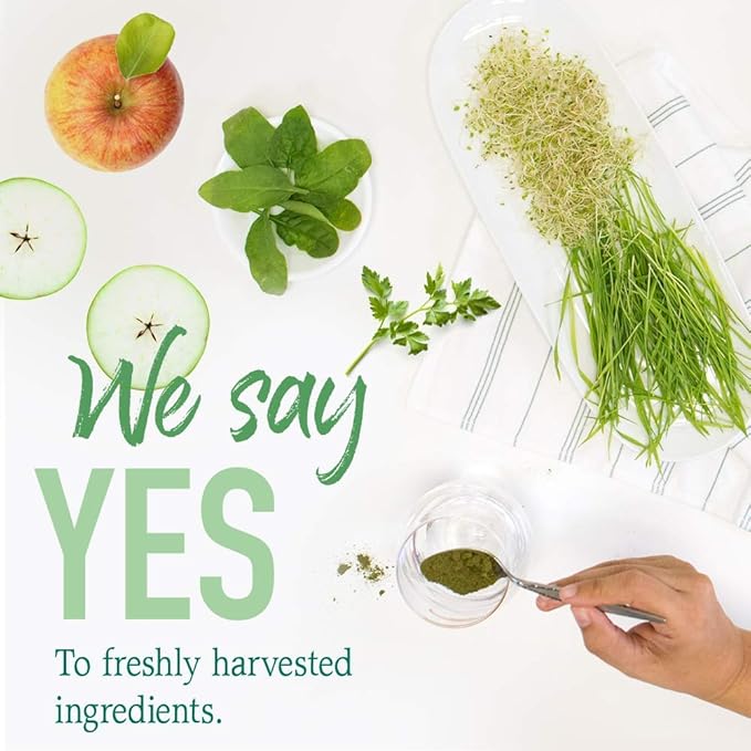 Garden of Life Raw Organic Perfect Food Green Superfood Juiced Greens Powder - Apple Flavor, 30 Servings - Vegan Gluten Free Whole Food Dietary Supplement, Greens Plus Probiotics & Enzymes