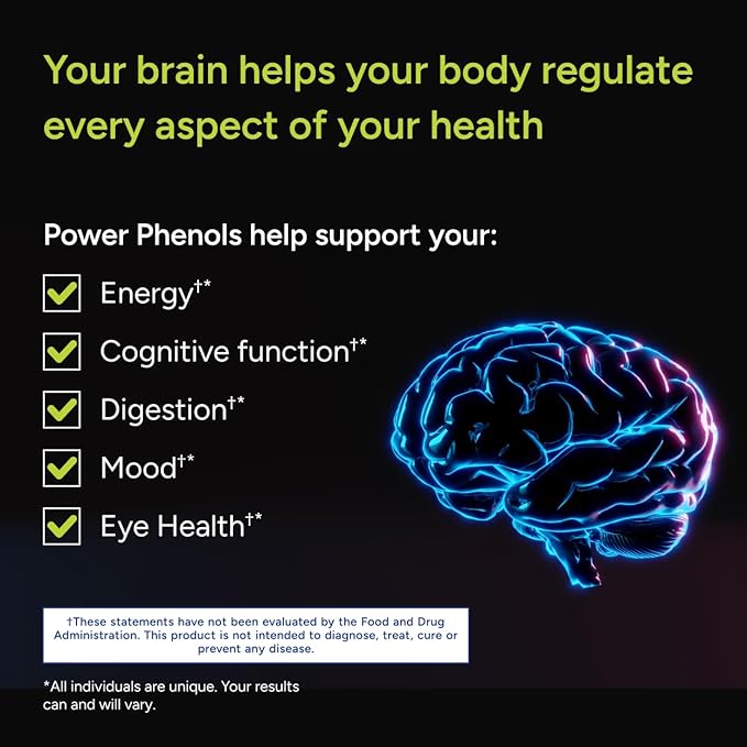 Gundry MD Power Phenols Brain Health Supplement for Cognition, Focus, Motivation, Productivity, and Energy - (30 Servings)