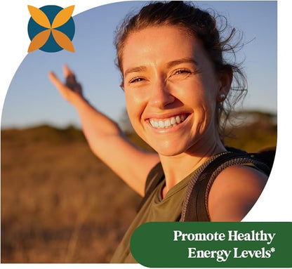 Pattern Wellness Greens Powder Superfood - Complete with Antioxidant, Digestive Enzyme, Fiber, Probiotic, & Adaptogen Blends - Gut, Digestion, & Immune System - 30 Servings - 6.6 oz (Unflavored)