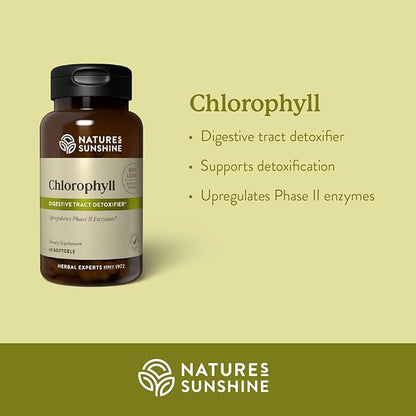 Nature's Sunshine Chlorophyll, 60 Softgel Capsules | Helps Support the Body's Blood-Cleansing Functions and Strengthens the Immune and Intestinal Systems