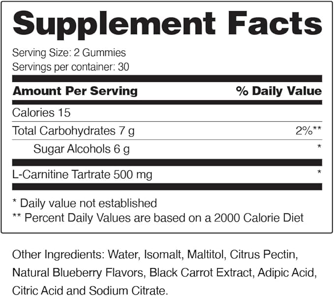 Sugar Free L Carnitine 500mg Gummy - Natural Pre Workout L-Carnitine Supplement - Increased Energy, Faster Recovery, Boost Metabolism, Pre Workout for Women & Men, Blueberry Flavor (60 Gummies)