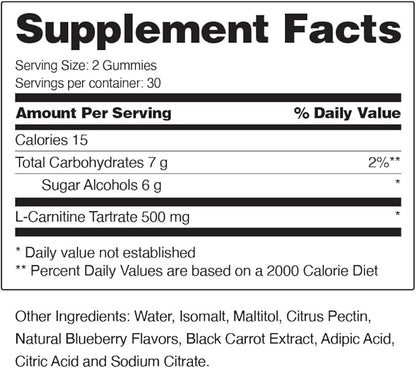 Sugar Free L Carnitine 500mg Gummy - Natural Pre Workout L-Carnitine Supplement - Increased Energy, Faster Recovery, Boost Metabolism, Pre Workout for Women & Men, Blueberry Flavor (60 Gummies)