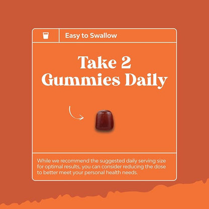 Multivitamin Gummies for Adults - Halal Multivitamin Gummy with B12 Biotin - Gelatin-Free Gummy Multivitamins for Men & Women - Vitamin Gummies with Zinc & Vitamin D - Non-GMO Gluten-Free - 90 Count
