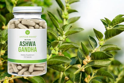 Antler Farms – 100% Pure Ashwagandha Root and Ashwagandha Root Extract, 130 Capsules, 1200mg – Standardized to 5% withanolides, Enhances Mental Performance, Energy, and Immunity