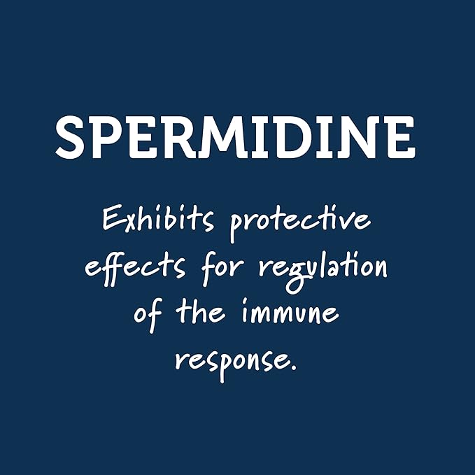 Immunity Support Shots with Organic Ginger + Honey | Vitamins C, D, B6, B12 and Zinc | Liquid Immune Defense Infused with Natural Resveratrol and Spermidine | 6 Pack (2.5 Fl oz)