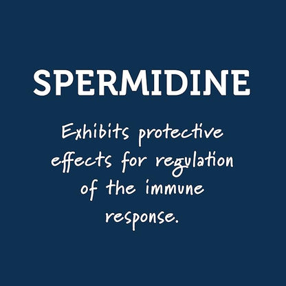 Immunity Support Shots with Organic Ginger + Honey | Vitamins C, D, B6, B12 and Zinc | Liquid Immune Defense Infused with Natural Resveratrol and Spermidine | 6 Pack (2.5 Fl oz)