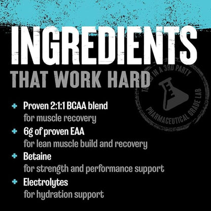 Animal Juiced Amino Acids - BCAA Powder EAA Matrix Plus Hydration with Electrolytes and Sea Salt Anytime Recovery and Improved Performance, Strawberry Limeade Flavor, 30 Servings